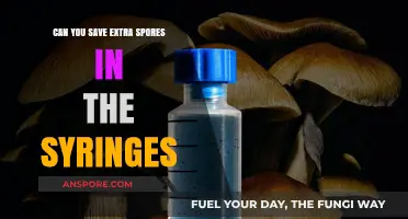 Storing Extra Spores in Syringes: Best Practices and Tips