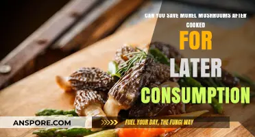 Saving Cooked Morel Mushrooms: Tips for Later Enjoyment
