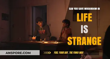 Saving Mushrooms in Life is Strange: Tips and Tricks