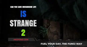 Saving Mushroom in Life is Strange 2: A Comprehensive Guide