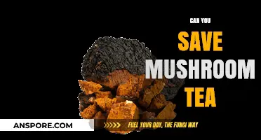 Preserving Mushroom Tea: Tips for Storing and Extending Its Shelf Life