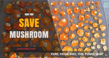 Preserving Mushrooms: Tips for Storing and Saving Your Fungal Finds