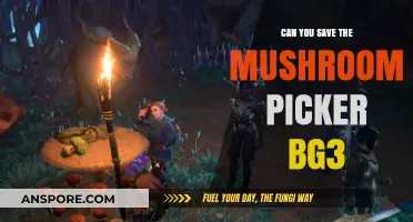 Saving the Mushroom Picker in Baldur's Gate 3: Tips and Tricks