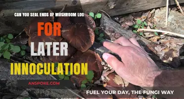 Sealing Mushroom Logs: Preserving for Future Inoculation Success