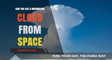 Mushroom Clouds from Space: Visible or Just a Myth?