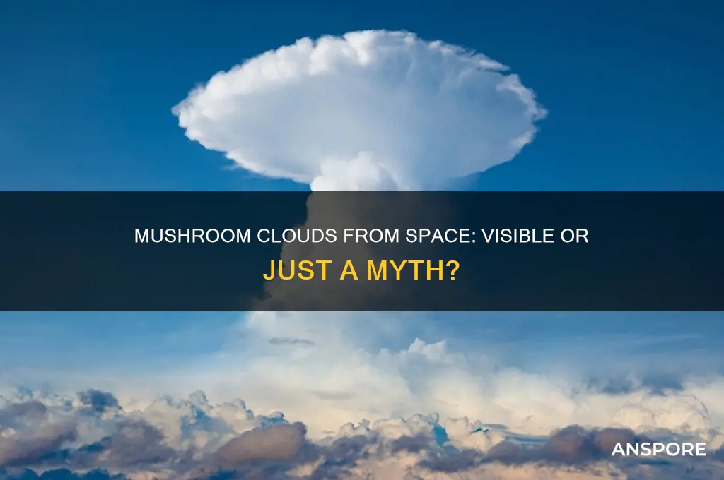 can you see a mushroom cloud from space