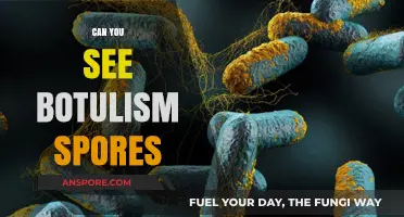 Can You See Botulism Spores? Unveiling the Invisible Threat
