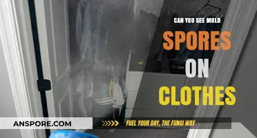 Can You Spot Mold Spores on Clothes? A Quick Guide