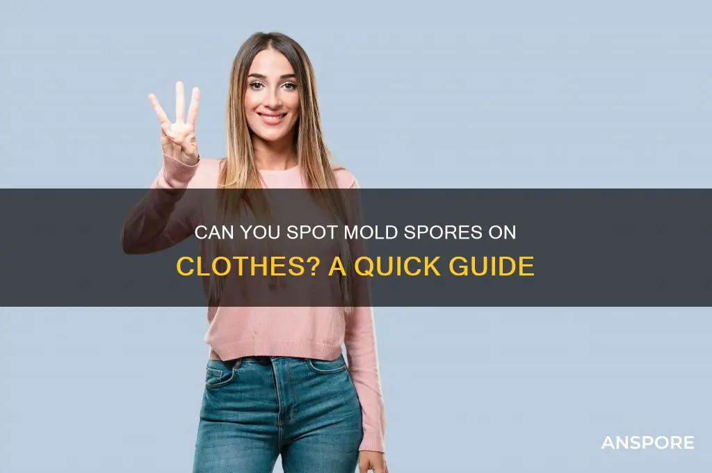 can you see mold spores on clothes