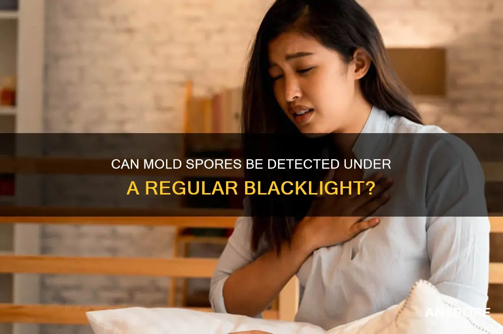 can you see mold spores under a regular blacklight