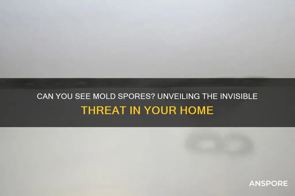 can you see mold spores