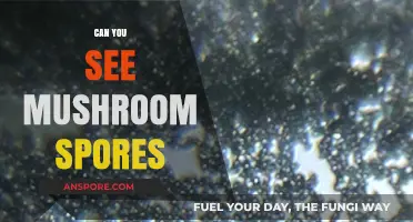 Can You See Mushroom Spores? Unveiling the Invisible World of Fungi