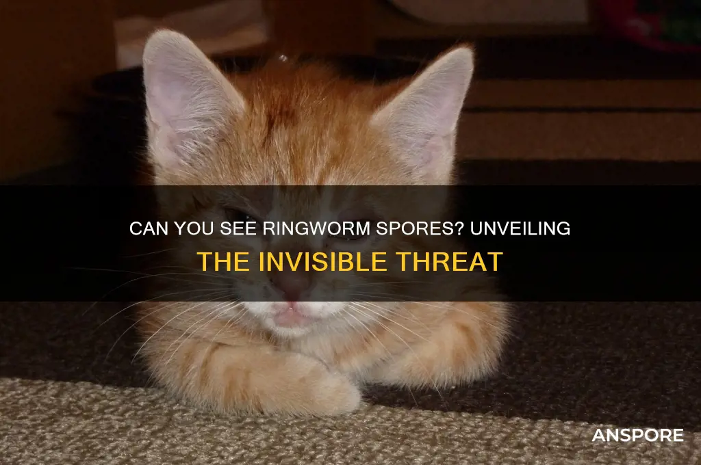 can you see ringworm spores