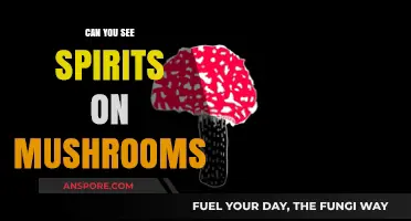 Exploring the Mystical: Can Mushrooms Reveal Spirits to the Mind?