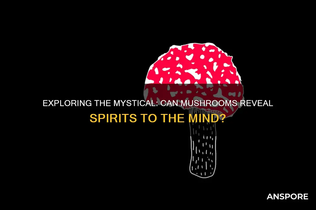 can you see spirits on mushrooms
