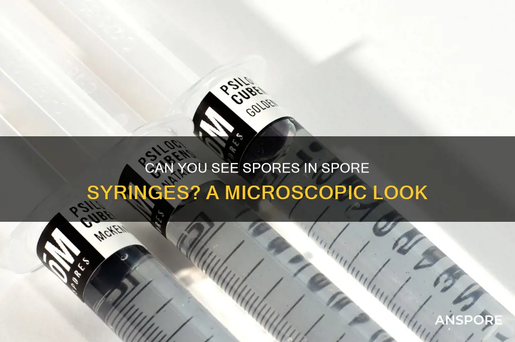 can you see spores in spore syringes