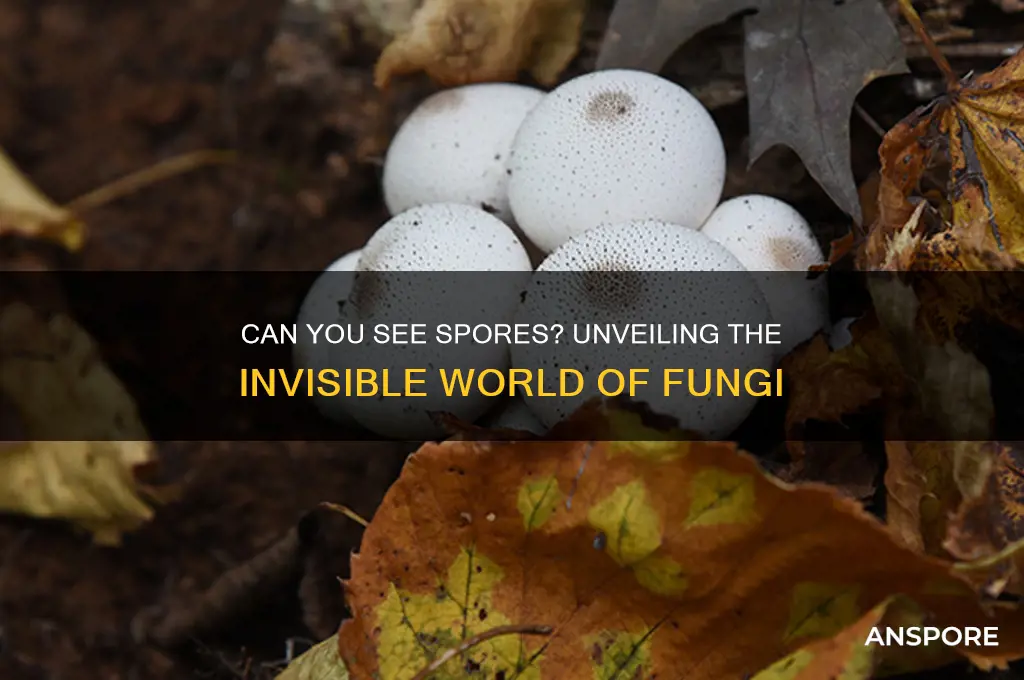 can you see spores