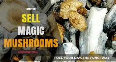 Selling Magic Mushrooms: Legal Risks and Market Realities Explained