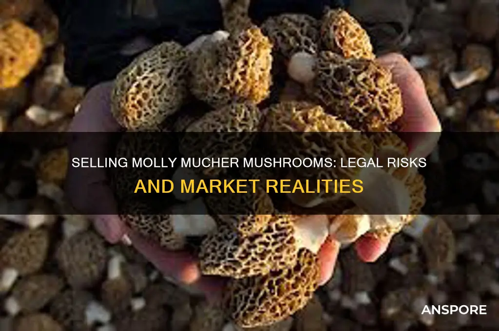 can you sell molly mucher mushrooms