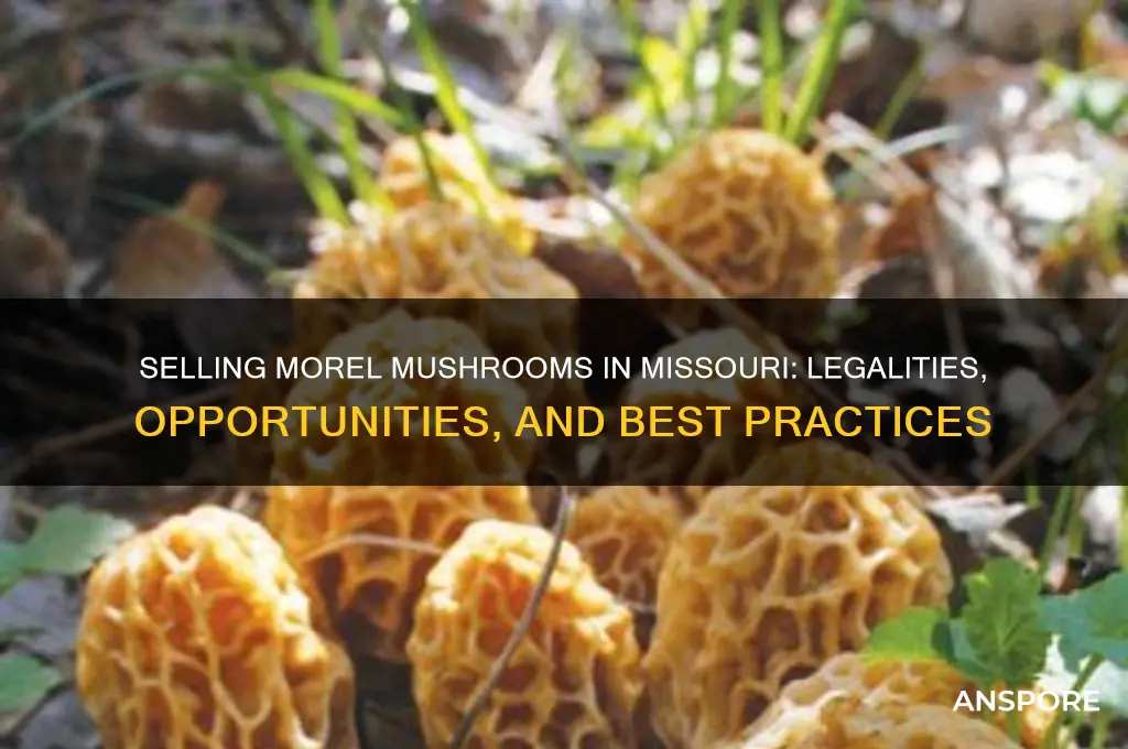 can you sell morel mushrooms in missouri