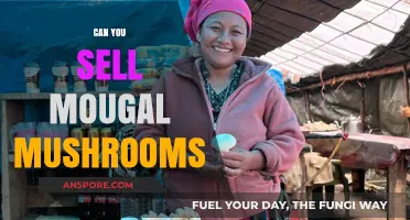 Selling Mougal Mushrooms: Legalities, Market Potential, and Profitability Explored
