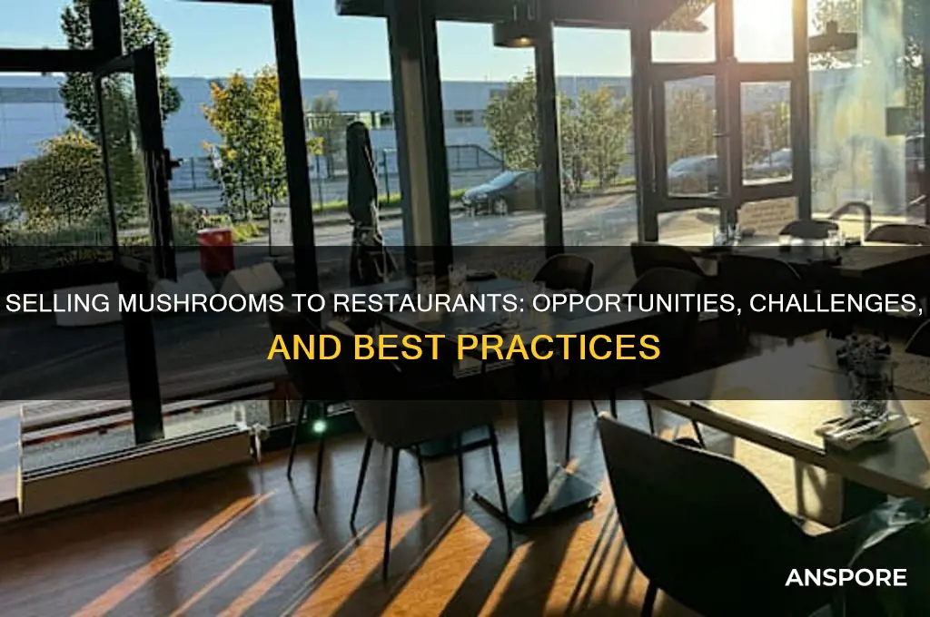 can you sell mushrooms to restaurants