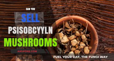 Selling Psilocybin Mushrooms: Legal, Ethical, and Practical Considerations