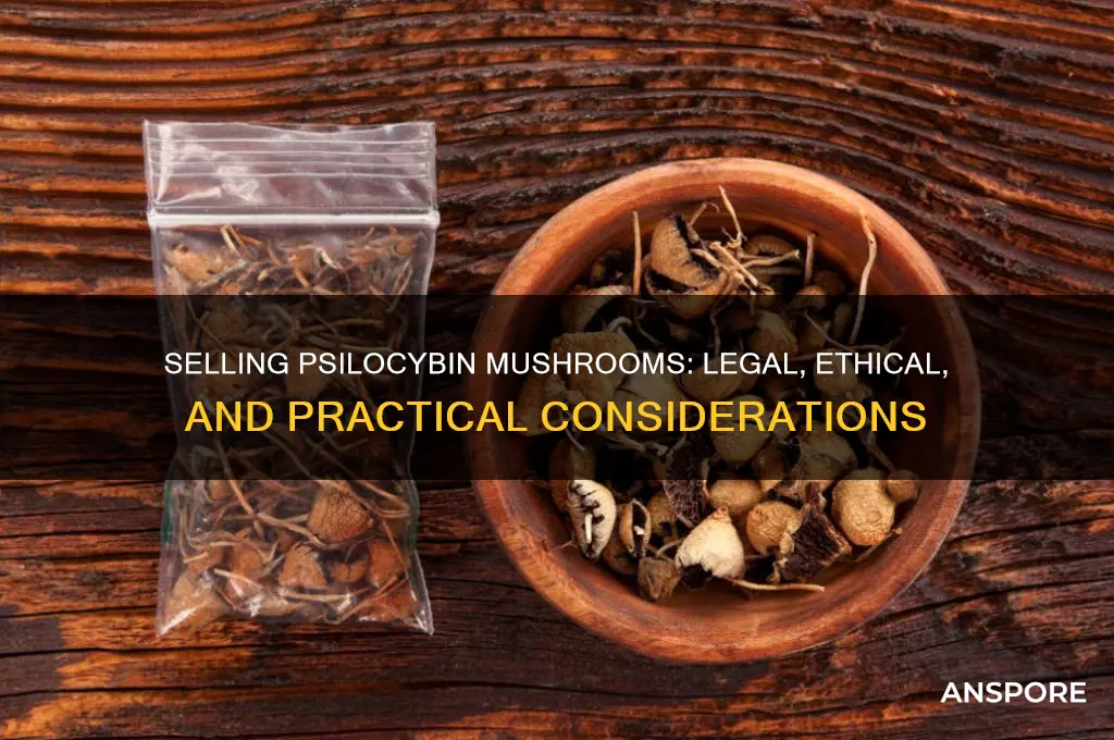 can you sell psisobcyyln mushrooms