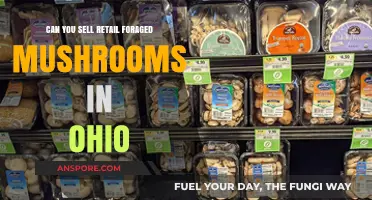 Selling Foraged Mushrooms in Ohio: Legal Retail Guidelines Explained