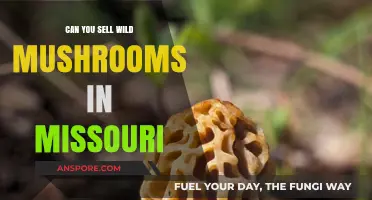 Selling Wild Mushrooms in Missouri: Legalities, Risks, and Opportunities