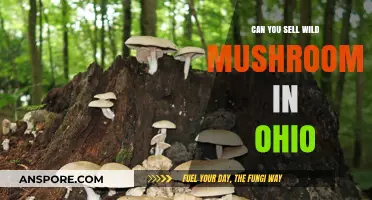 Selling Wild Mushrooms in Ohio: Legalities, Risks, and Opportunities