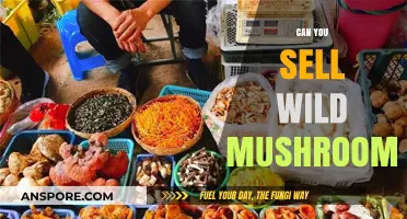 Selling Wild Mushrooms: Legalities, Safety, and Market Opportunities Explored