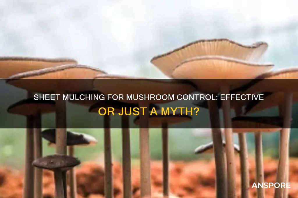 can you sheet mulch to get rid of mushrooms