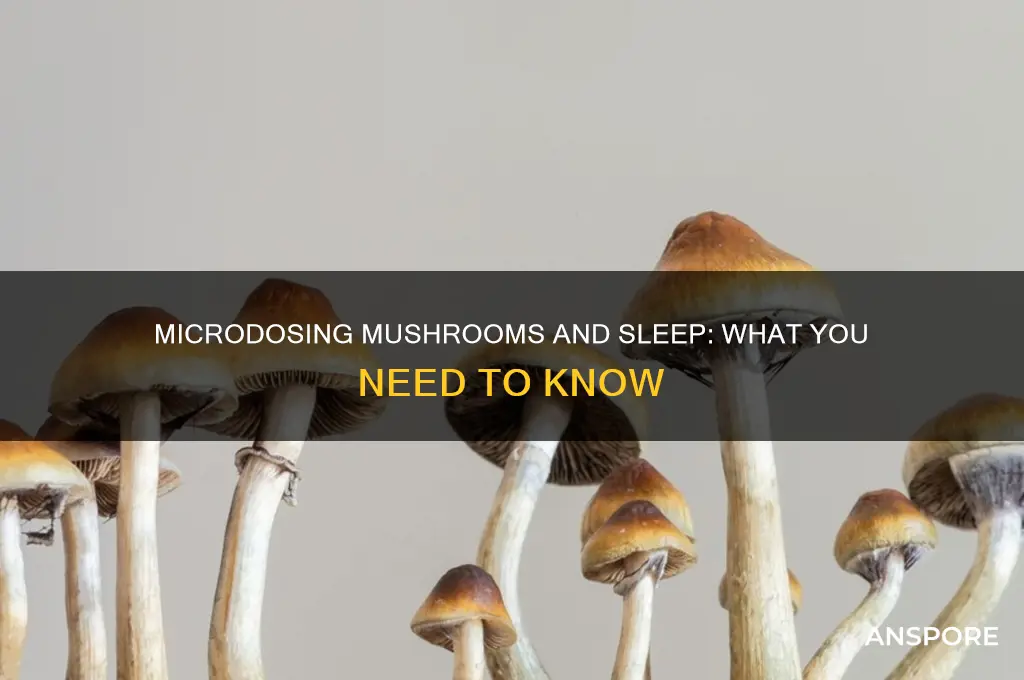 can you sleep after microdosing mushrooms
