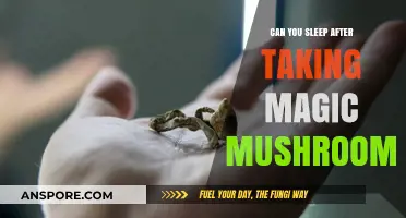 Magic Mushrooms and Sleep: What Happens After Consumption?