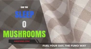 Can You Sleep on Mushrooms? Exploring the Fungal Bedding Trend