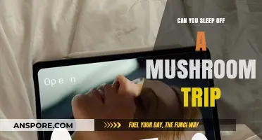 Sleeping Through a Mushroom Trip: Myths, Risks, and Reality Explained