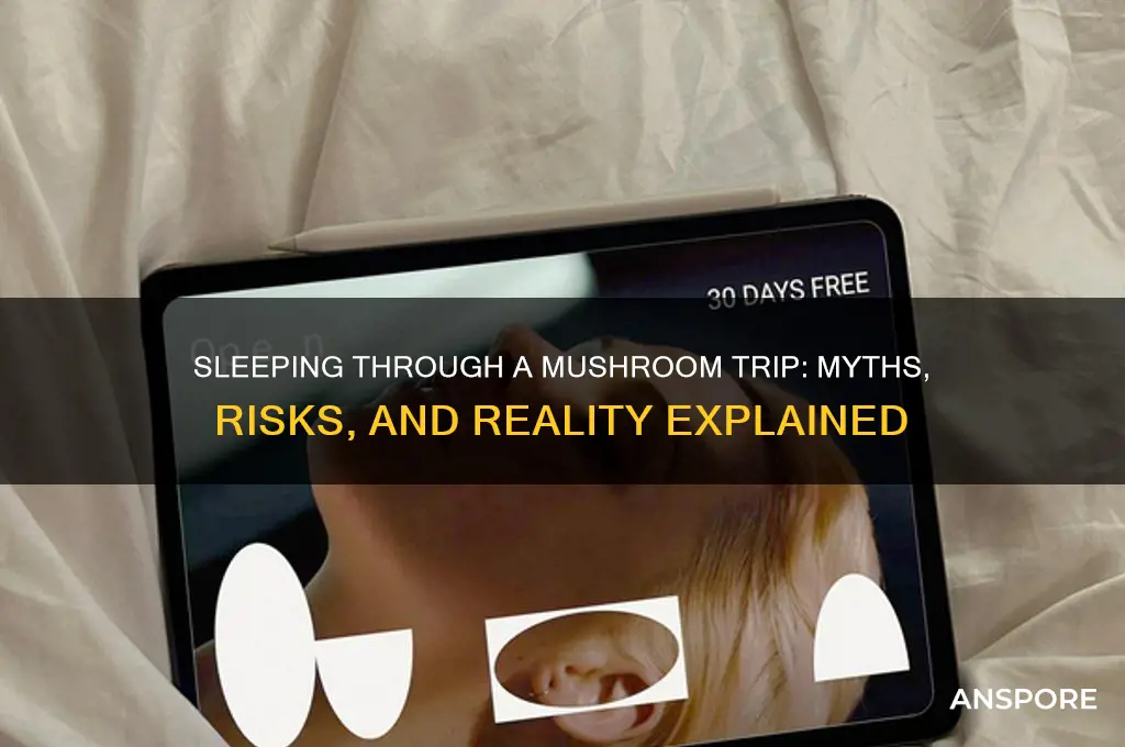 can you sleep off a mushroom trip