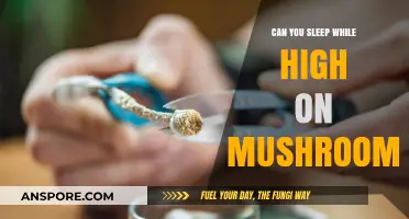 Sleeping on Shrooms: Exploring the Effects of Psilocybin on Sleep