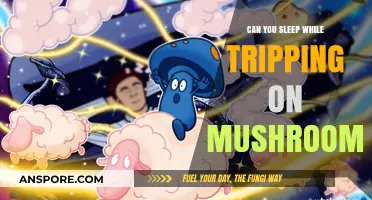 Sleeping on Shrooms: Can You Rest While Tripping on Mushrooms?