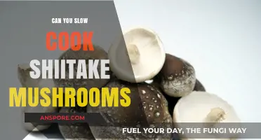 Slow Cooking Shiitake Mushrooms: Tips for Perfect Texture and Flavor