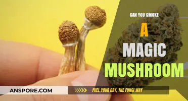 Smoking Magic Mushrooms: Risks, Effects, and Safer Consumption Methods