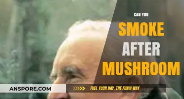 Smoking After Mushrooms: Risks, Effects, and What You Need to Know