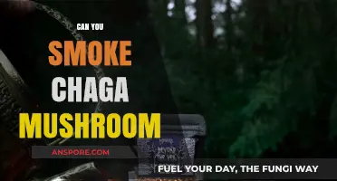 Smoking Chaga Mushroom: Benefits, Risks, and Alternative Consumption Methods