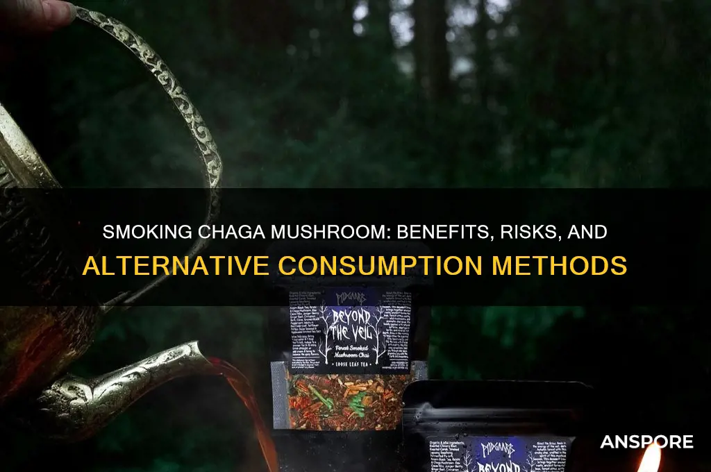 can you smoke chaga mushroom