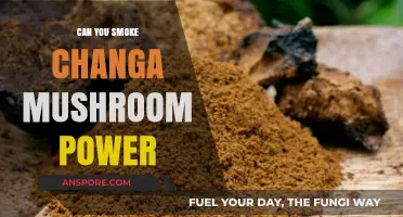 Exploring Changa Mushroom Powder: Is Smoking It Safe or Risky?