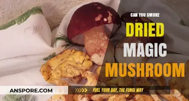 Smoking Dried Magic Mushrooms: Risks, Effects, and Safer Alternatives