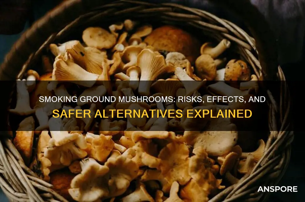 can you smoke ground up mushrooms