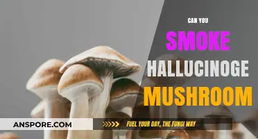 Smoking Hallucinogenic Mushrooms: Risks, Effects, and What You Need to Know