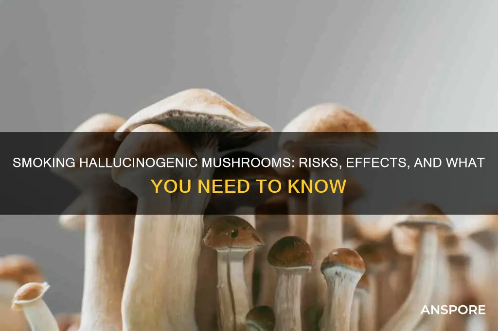 can you smoke hallucinogenic mushrooms